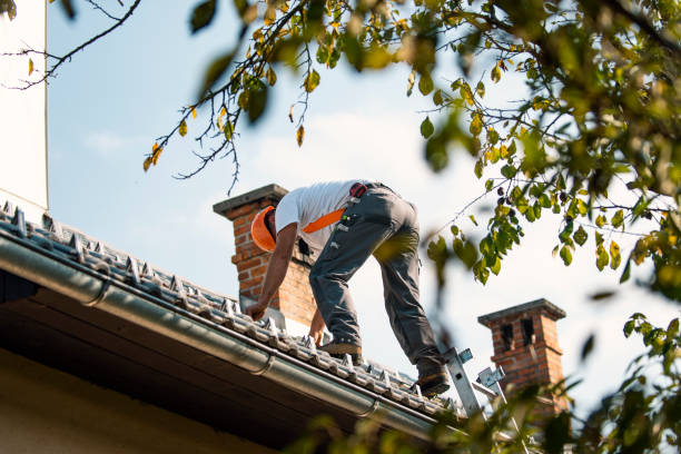 Best Roof Coating and Sealing  in Foresthill, CA